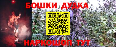 гидра Ливны