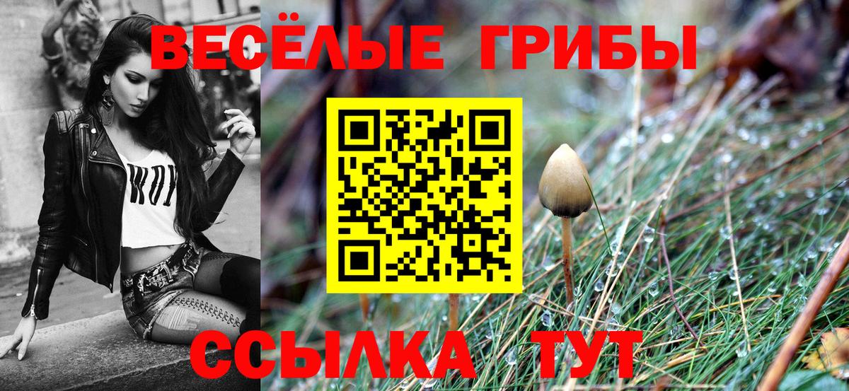 Галлюциногенные грибы прущие грибы  Вход с VPN  Сланцы 